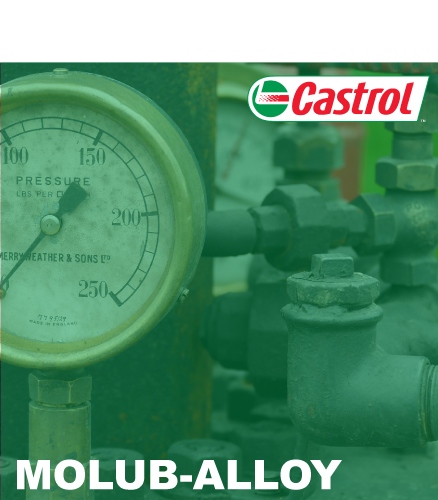 MOLUB-ALLOY Lubrifiants extrême pression