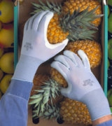 Gants alimentaires