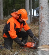 Vêtements de forestier, bûcheron et élagueur