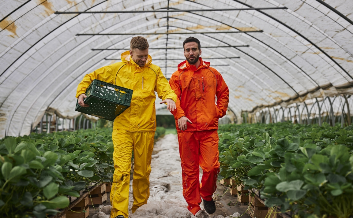 pics/Planam/1474/planam-1484monsun-regenhose-winddicht-atmungsaktiv-orange-s-5xl-application-picture.jpg