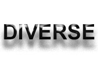 pics/Schittenhelm/diverse-logo.jpg